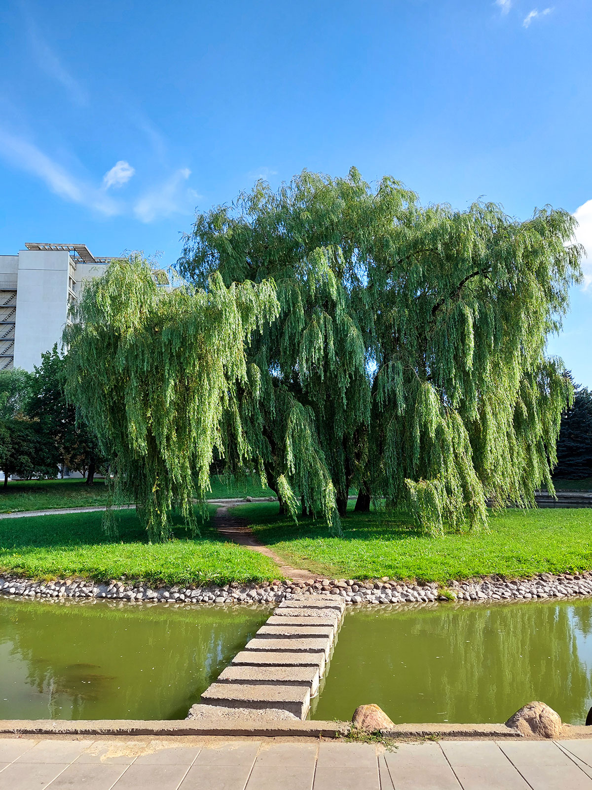 Полоцкий парк Минск
