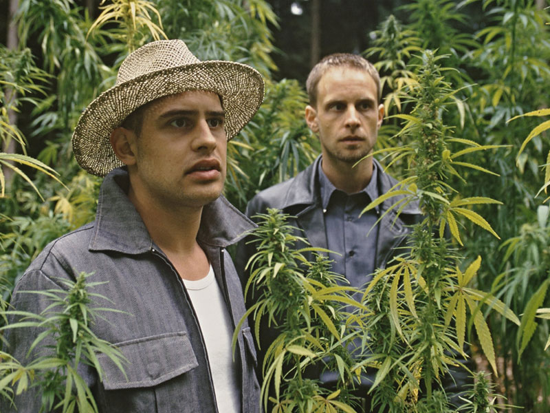 Фильм парни нашли марихуану скачать анонимный браузер тор hidra